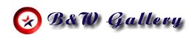 BW Gallery
